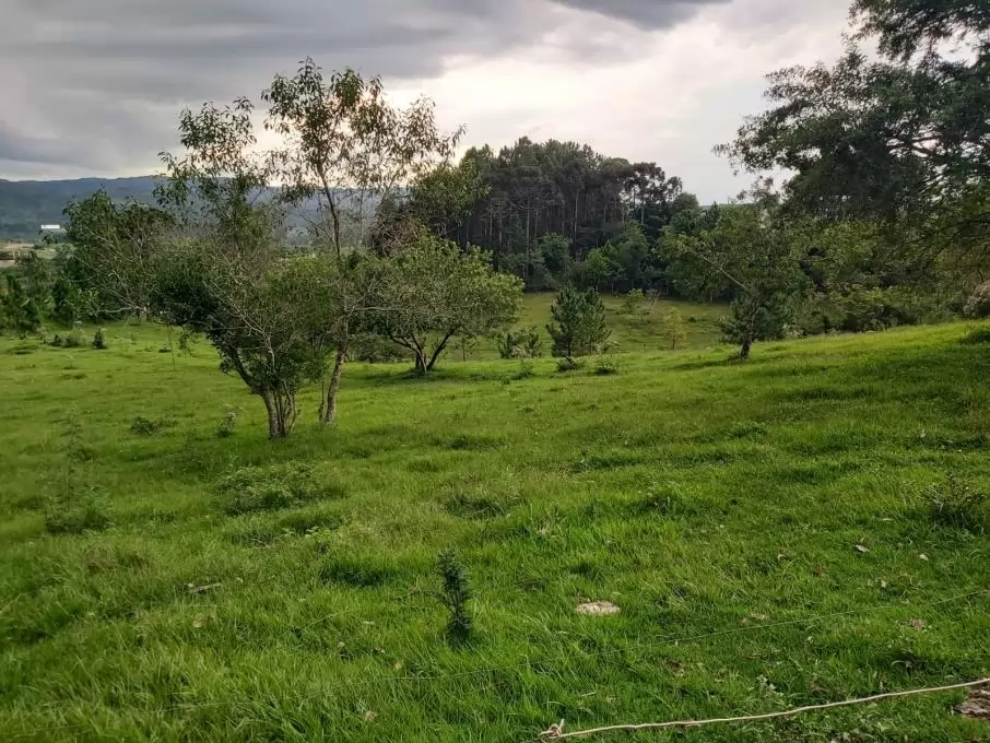 TERRENO-?TIMA LOCALIZA??O-LONTRAS - SC-RIACHUELO